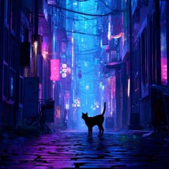 Black cat