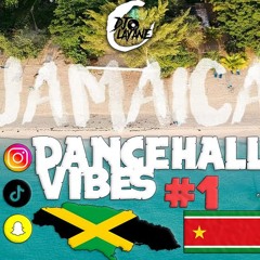 DANCEHALL VIBES - DJ LAYANE ❤️💛💚 ( MIX NO PREPARER) 15 MIN 🕝