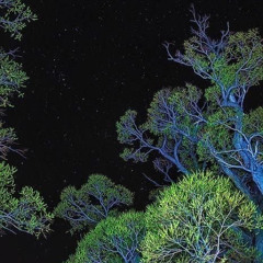 Live Streaming @RoughRadio