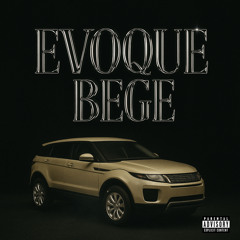 Evoque Bege
