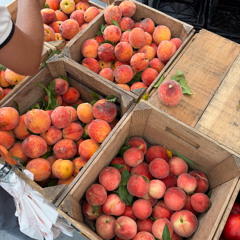 como te digo que? (latin mafia)