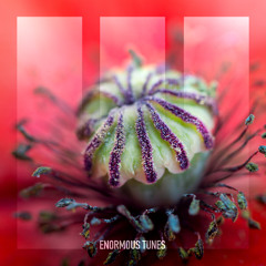 Path Of Youth - Weightless