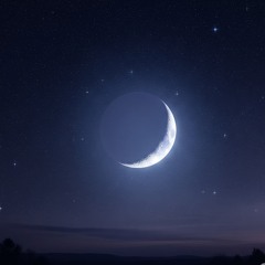 Pamplem'House - 3 AM don't Cry