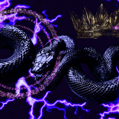 ytr4