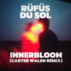 Rüfüs Du Sol - Innerbloom (Carter Walsh Remix)