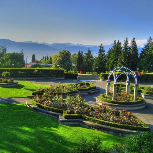 ecstatic about saw bass