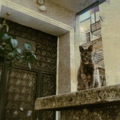 Am Freitag wird getanzt