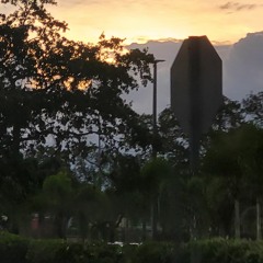 Bluebird of misfortune