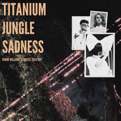 Arcando X David Guetta, Sia X Lana Del Rey - Titanium Jungle Sadness (Frank Williams X COASTR. Edit)