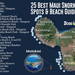Best Place To Snorkel Maui Prices Reviews