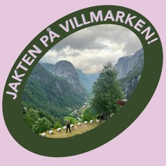 Jakten på Villmarken - en intro