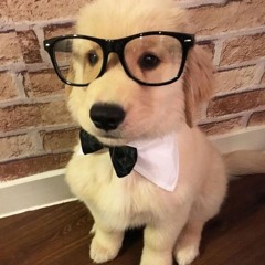 in my head (prod. quintuple)