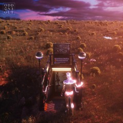 Youth Is Wasted On The Young LP [Odd One Out]