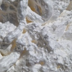 B.O PRINTEMPS FLEURIAU 2024