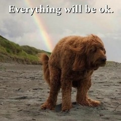 Paides  love  copy.m4a