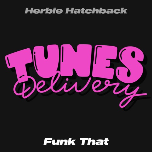 PREMIERE: Herbie Hatchback - Funk That [Tunes Delivery]