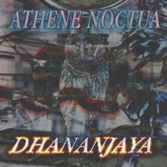 Athene Noctua - A Mix For Warm Spring Nights