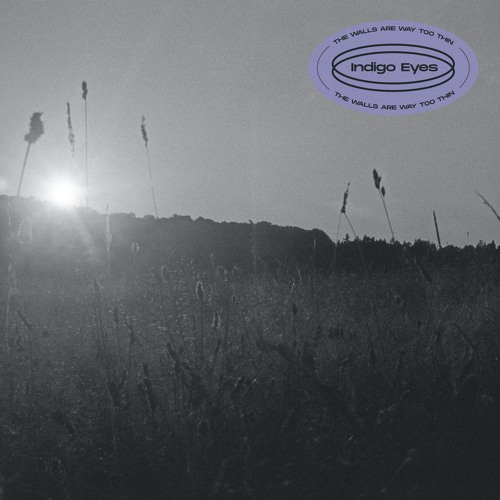 Stream The Walls Are Way Too Thin by Indigo Eyes Listen online for
