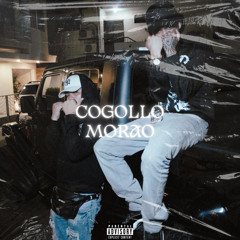 Cogollo Morao