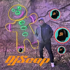 DJ SCAP  LIVE