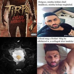Spotify minden