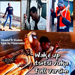 Msadaf - Wake up vuka, Shakes