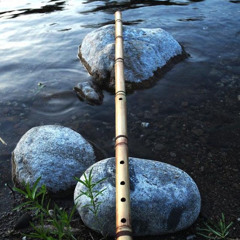 Bamboo Flute Solo (29-11-2025)