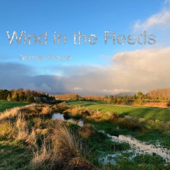 Wind In The Reeds