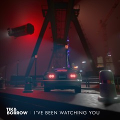 Tik&Borrow - I've Been Watchin You
