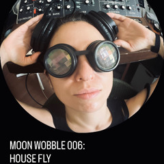 Moon Wobble 006: House Fly