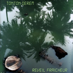 reveil fraicheur (original mix)