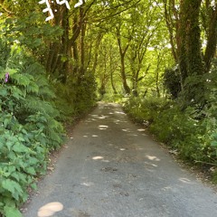 wobbly 🤮🇬🇧🖕