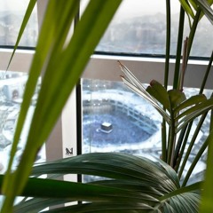 فَلا تَخْشَوْهُمْ وَاخْشَوْنِي | سورة البقرة ١٤٣٥هـ | العفاسي