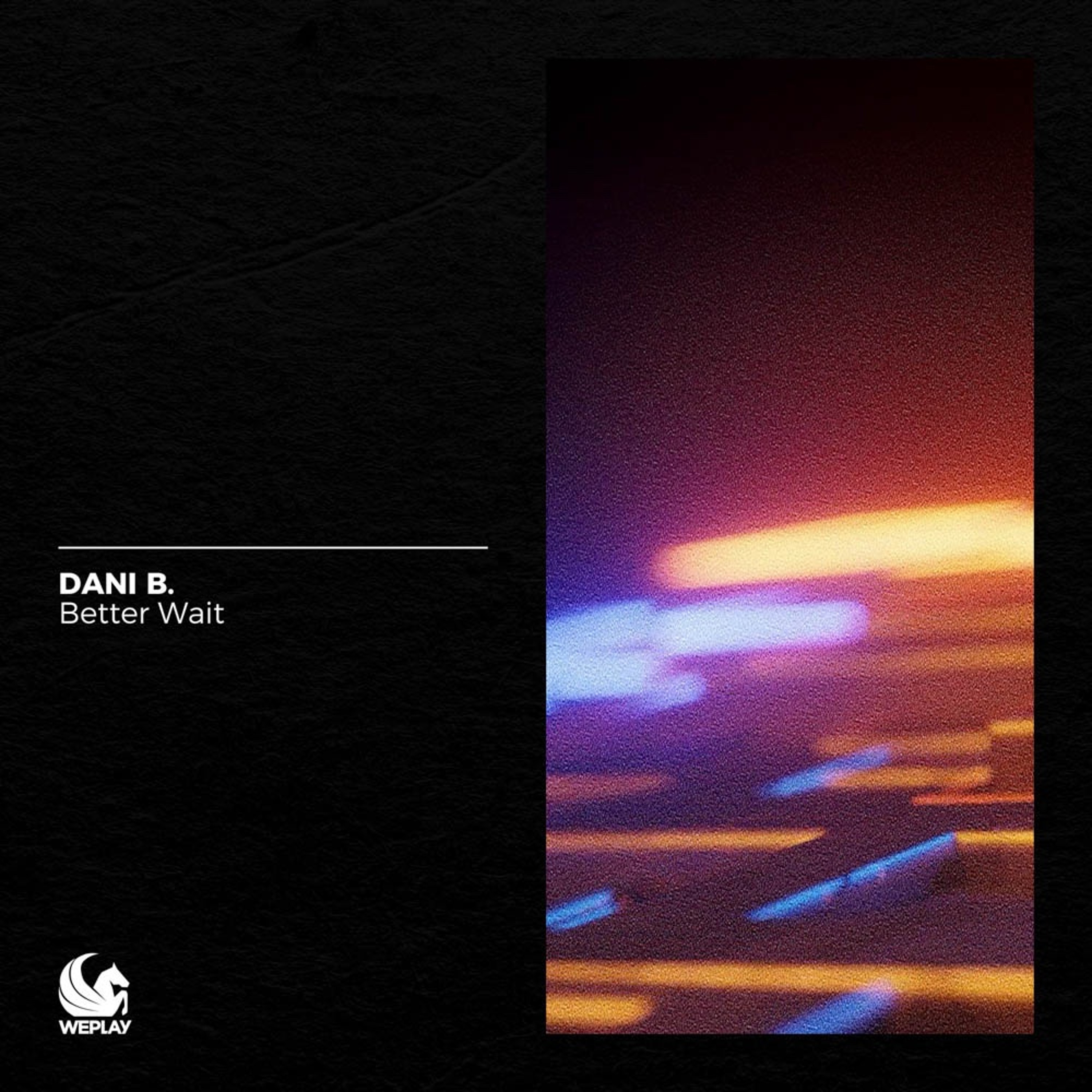 Dani B. / Better Wait • Extended Mix episode artwork