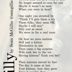 Silly - Written by Sean McGillis - Read by Noor Mahal