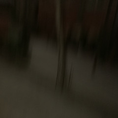 Flipside