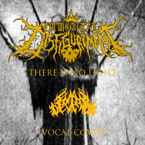 Immortal disfigurement - There is no light (vocal cover).wav