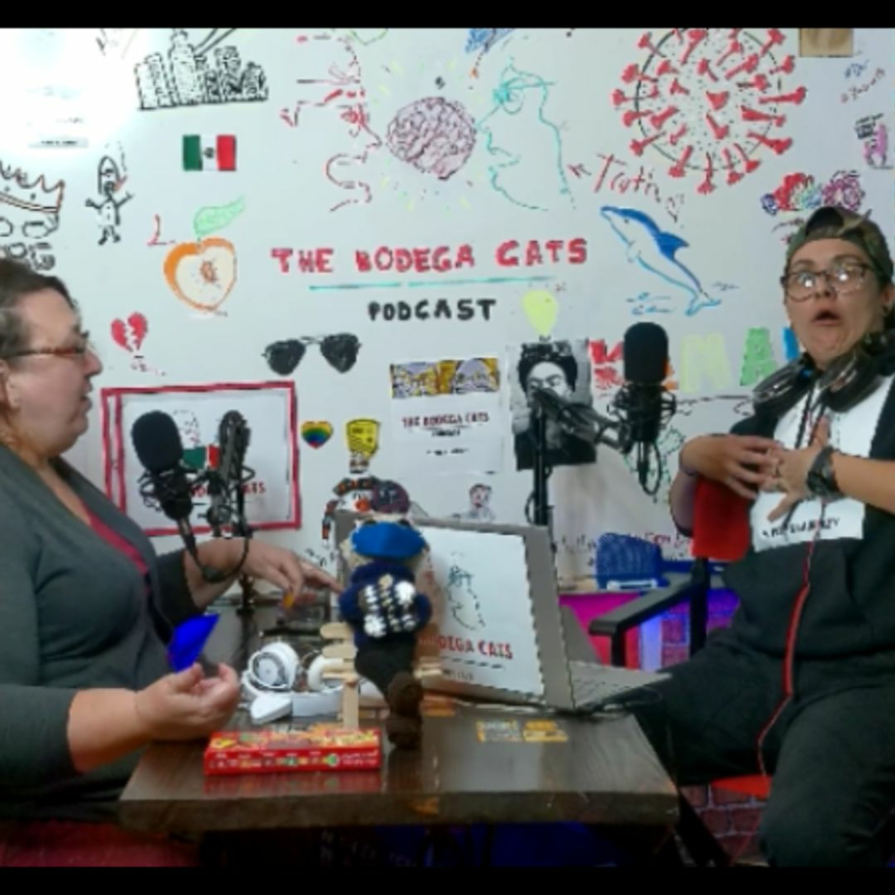 The Bodega Cats Podcast
