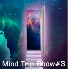MindTrip #3