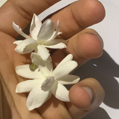 ‎⁨حالفن ما عاتب المحبوب خلي حامد سهيل⁩.m4a