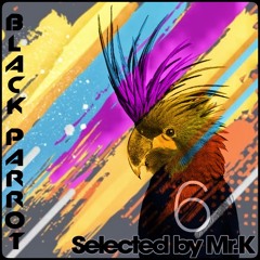 Black Parrot Vol.6 - Selected By Mr.K