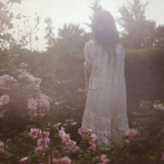 0-twallt & linu* - words i never said (under the maple tree)