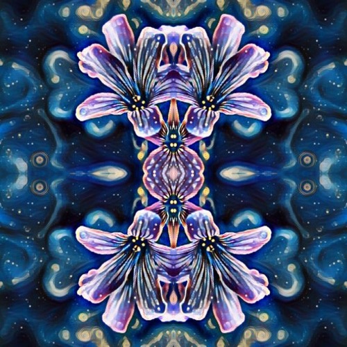 All You Need Is Delay -  🌸  A Fragrant Flower 🌸