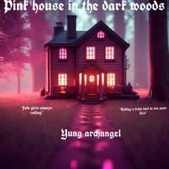 Pink house in a dark forest (part1)