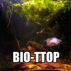 BIO - TTOP - DREAMWOLRD  FLSTUDIO  REMIX