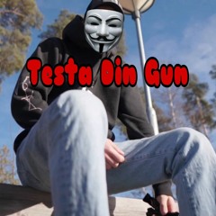 Testa Din Gun