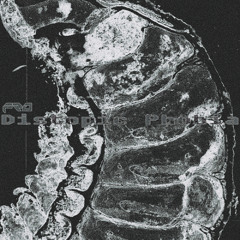 PREMIERE: Fro - Manmachine [NEU007]