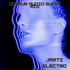 Jamz - Electro Riddims (GUEST MIX)
