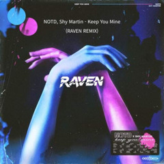 NOTD, Shy Martin - Keep You Mine (RAVEN REMIX)
