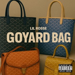 Goyard Bag